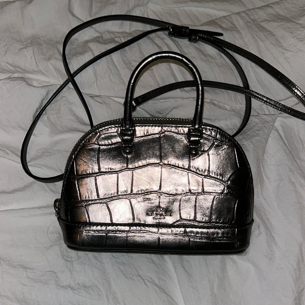 Mini crossbody silver by coach. Great condition. Used once.